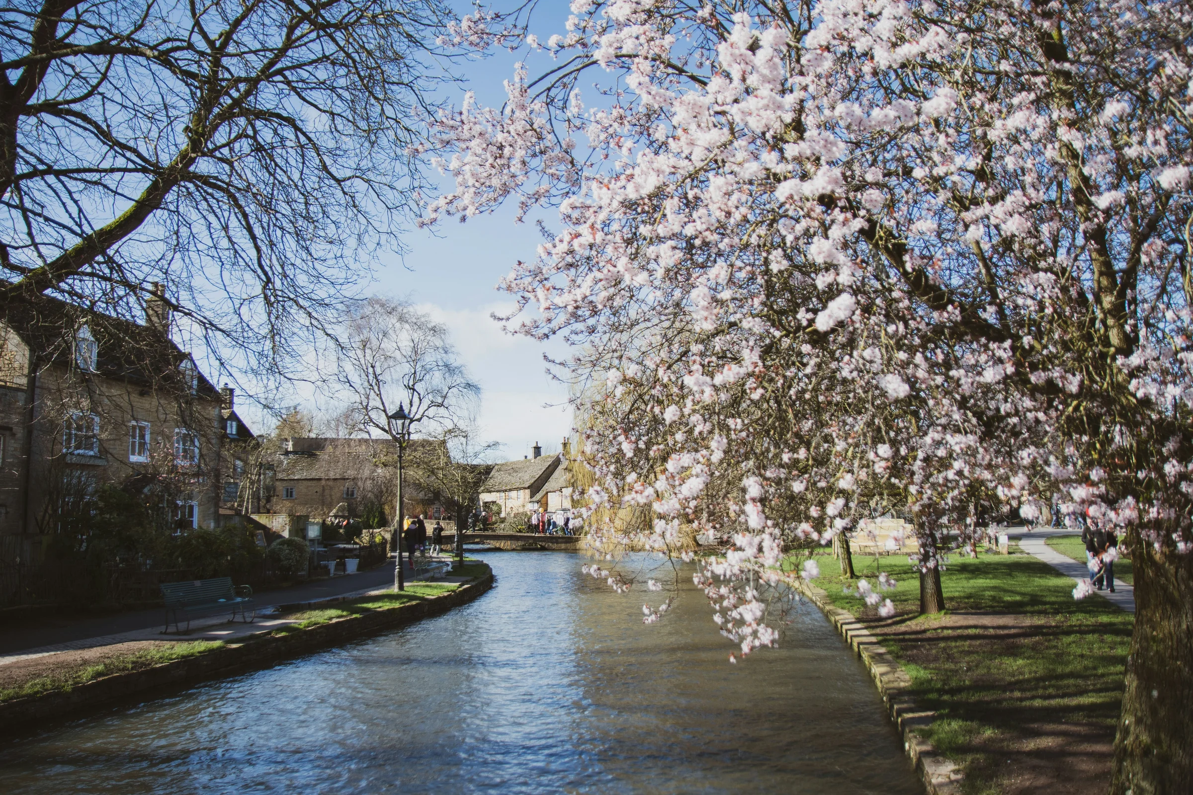 The River Windrush at Bourton-on-the-Water in spring, blossom over the water and a low stone footbridge beyond